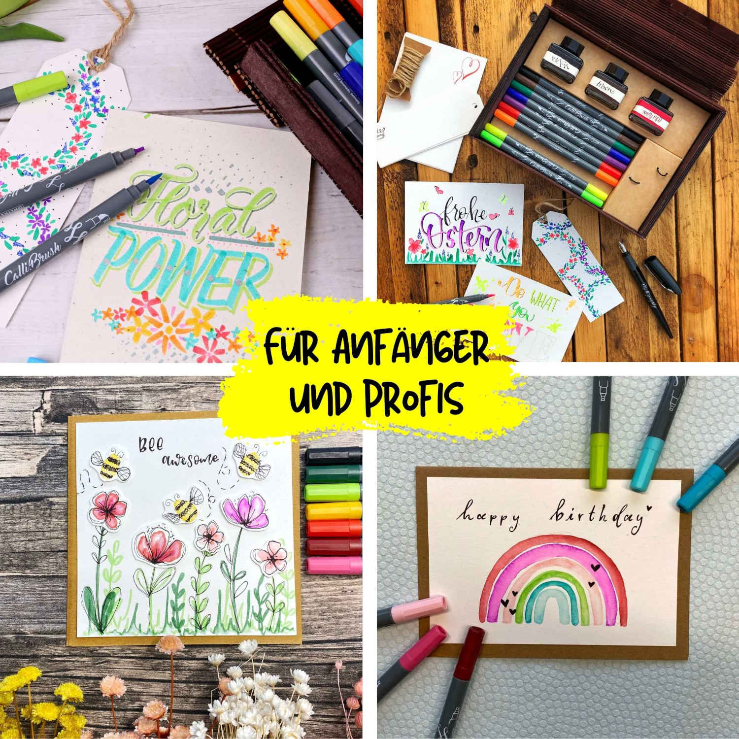 ONLINE Master Set für Anfänger und Profis